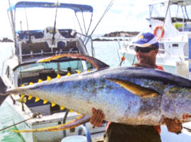 fishing aitutaki