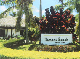 tamanubeach